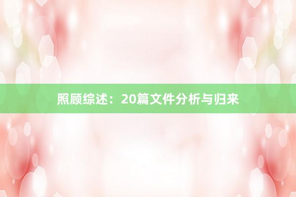 照顾综述:20篇文件分析与归来